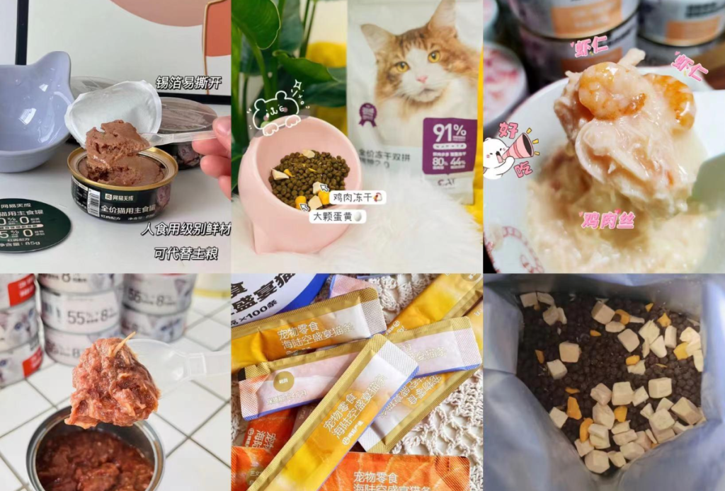 猫咪零食推荐：磨牙、补水、奖励、不挑食，这4类“功能型”选手闭眼入