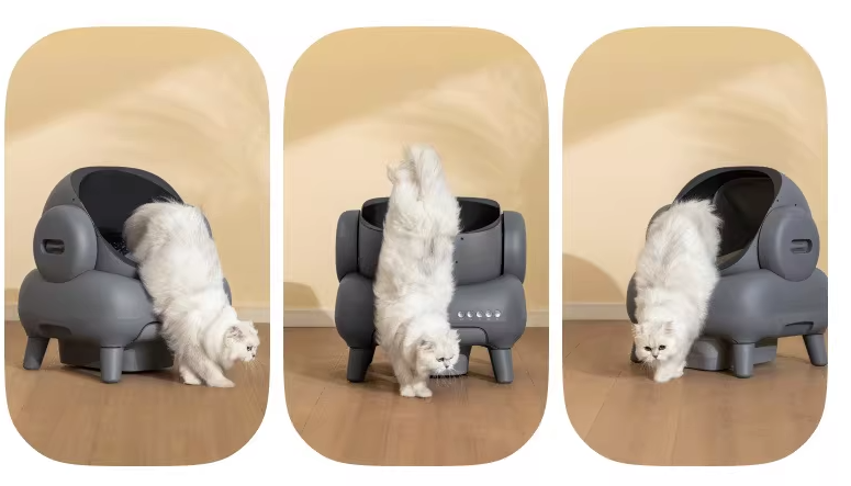 猫砂盆选择指南：开放式、封闭式、顶入式、智能，哪款才不踩雷？