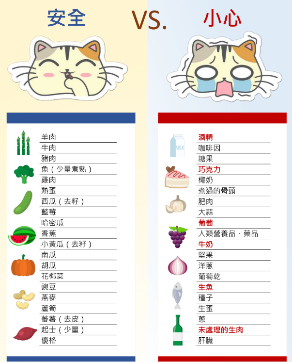 猫咪不能吃的食物清单：误食可能致命