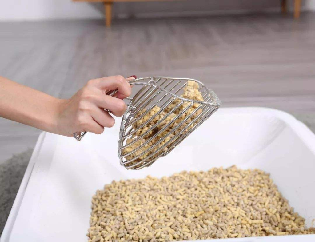 猫砂怎么选？除臭、结团、粉尘、安全性对比