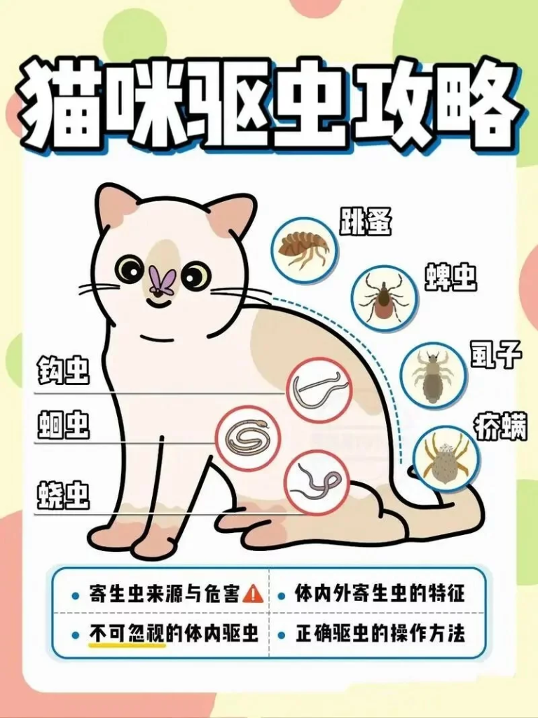 猫咪体内外驱虫：时间、品牌、注意事项
