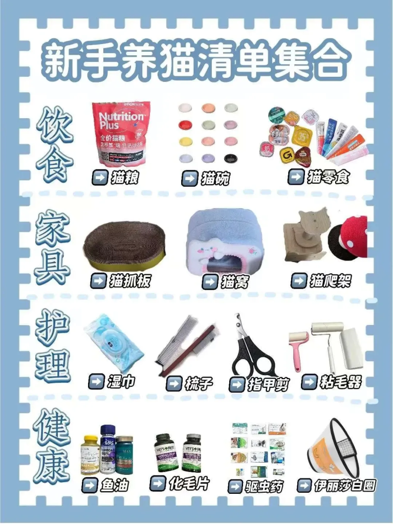 新手接猫必备清单：从 0 到 1 一篇搞定不花冤枉钱