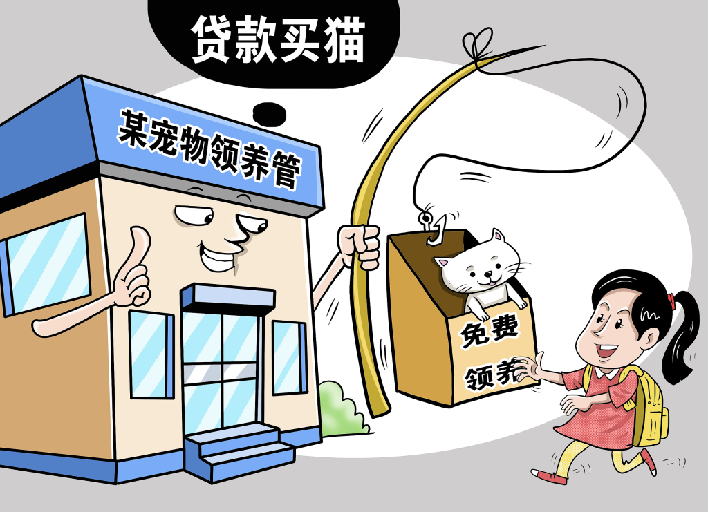 免费领养低价领养背后的陷阱与避坑