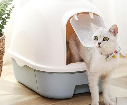 猫咪讨厌猫砂盆？换砂换盆换位置指南