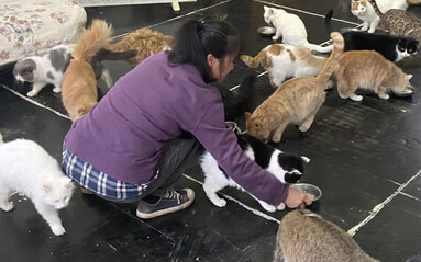 救助站志愿者须知：安全、卫生、注意事项