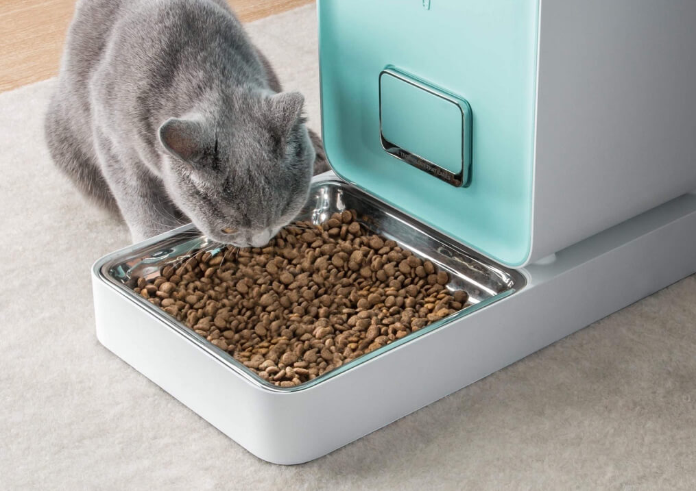 智能喂食器怎么选？定时、定量、防卡粮